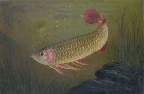 鴻運昌隆|tittot琉園作品 鴻運昌隆 The Arowana Fish